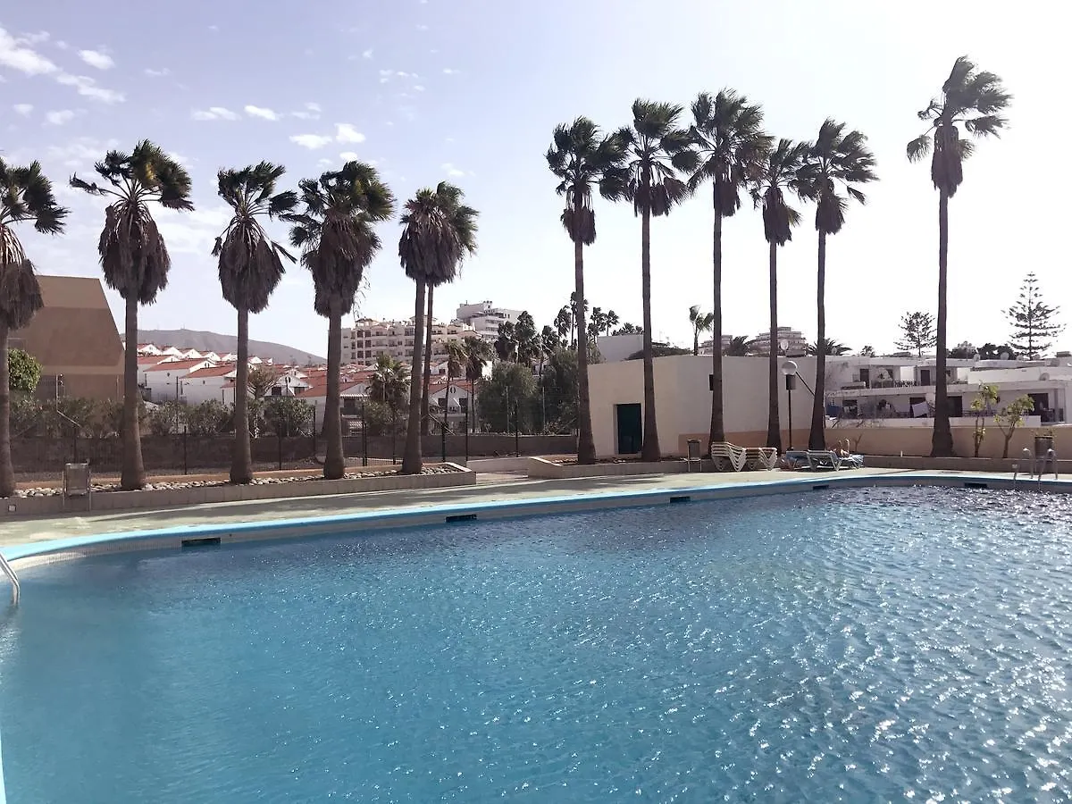 Apartment Apartamento Playa De Las Americas Arona  Spain